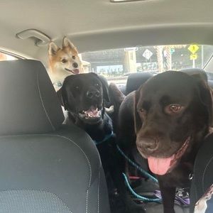 Meet your Posher, Katie